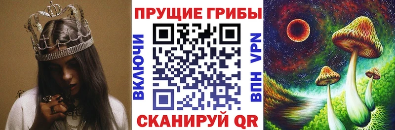Купить закладки  Десногорск  Галлюциногенные грибы MAGIC MUSHROOMS 
